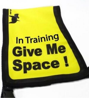 Black Dog "Give Me Space" Awareness Vest for Dogs - Medium